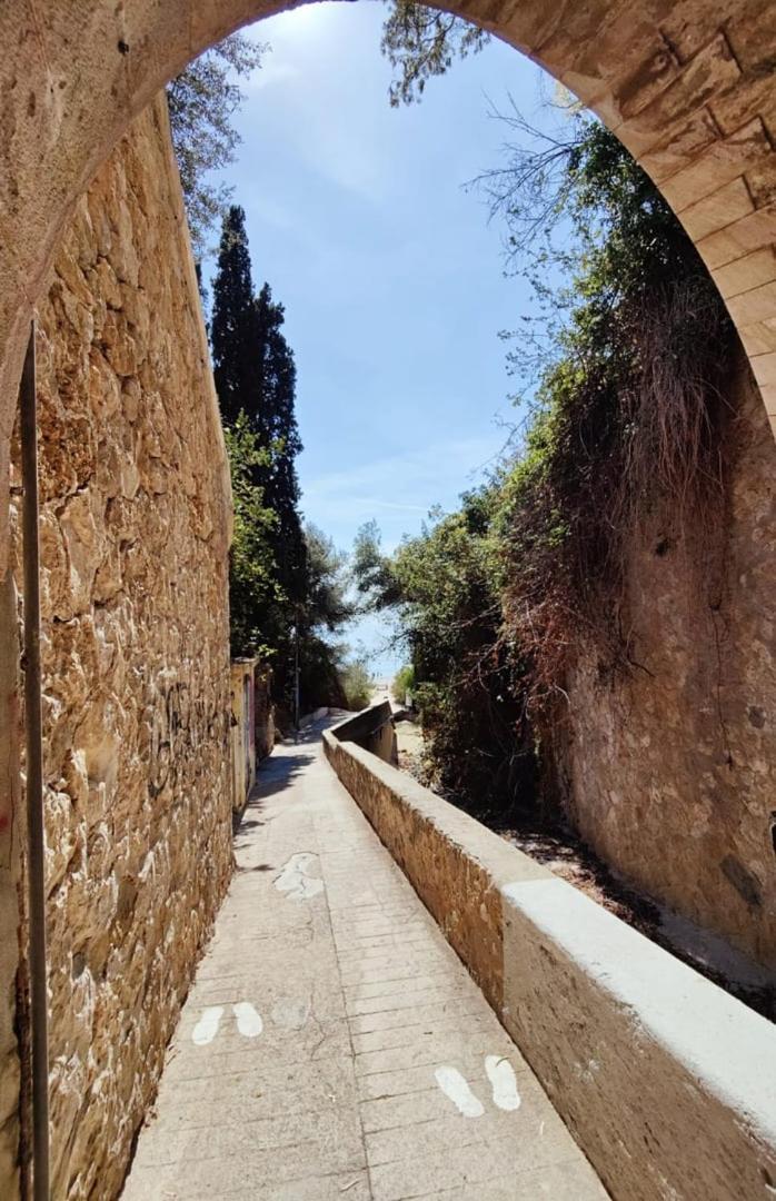 Le Coq Massolin Roquebrune-Cap-Martin Zewnętrze zdjęcie