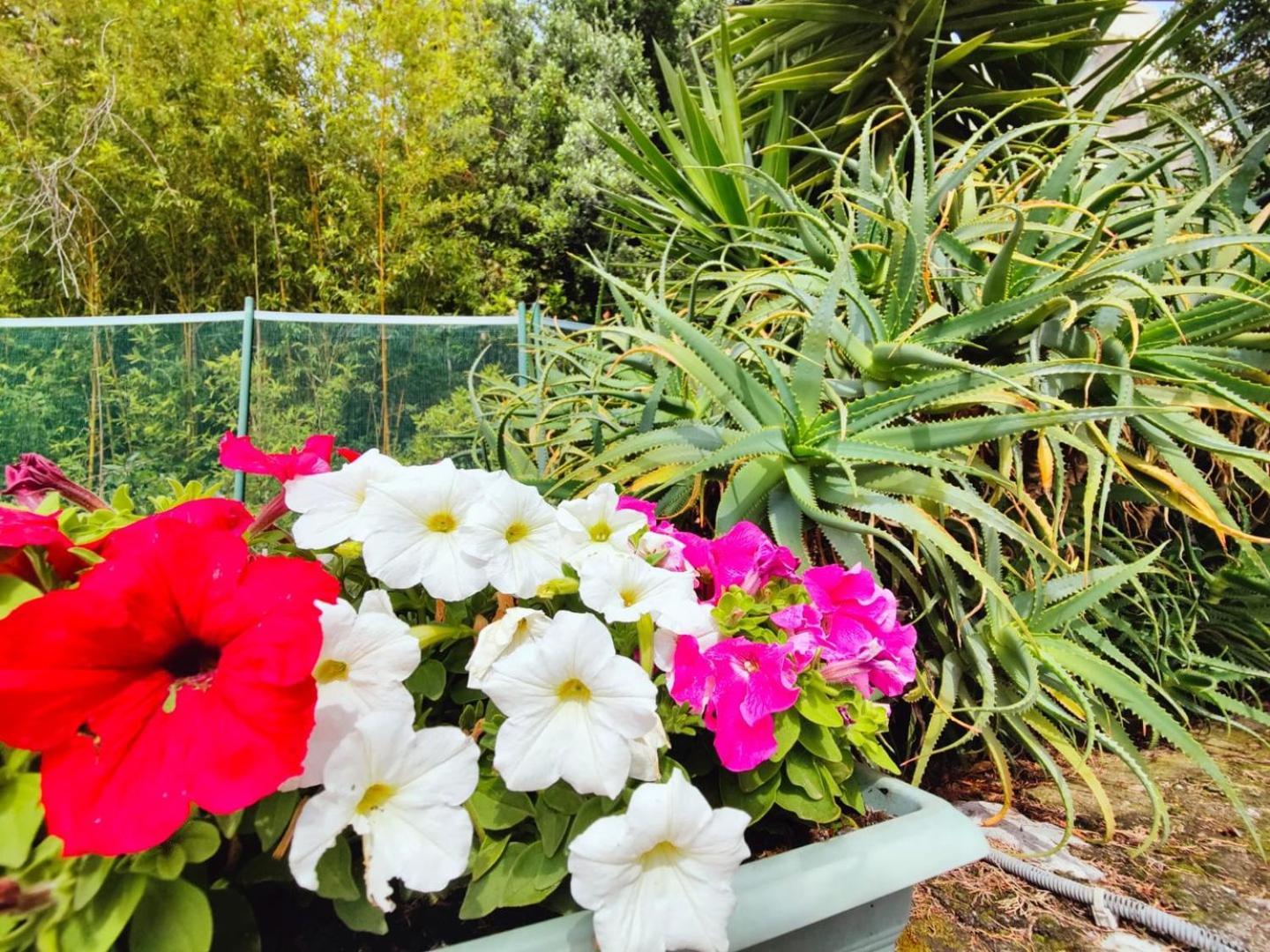 Le Coq Massolin Roquebrune-Cap-Martin Zewnętrze zdjęcie